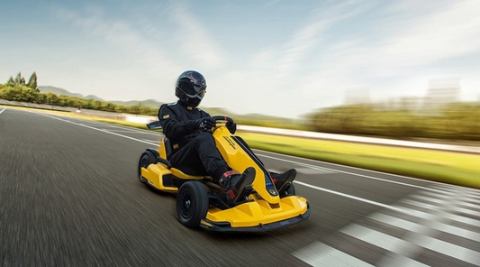 The Ultimate Guide to Buying a Ninebot Gokart